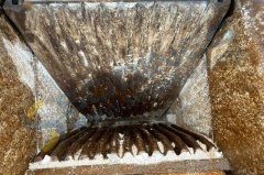 2018 KLEEMANN MC110Z EVO