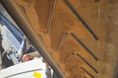 2021 KLEEMANN MSC 952I EVO