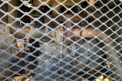 2009 POWERSCREEN COMMANDER 1400