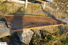 2021 EYDESCREEN VIKING