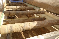 2018 VIBRAPLANT SEO2 1500 4000