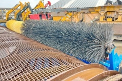 2002 FARWICK MUSTANG